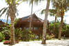 Coconut River 